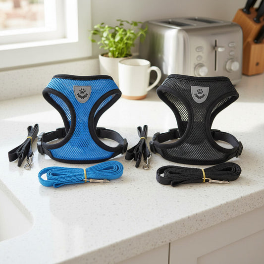 Pawréa AeriFit Mesh Harness